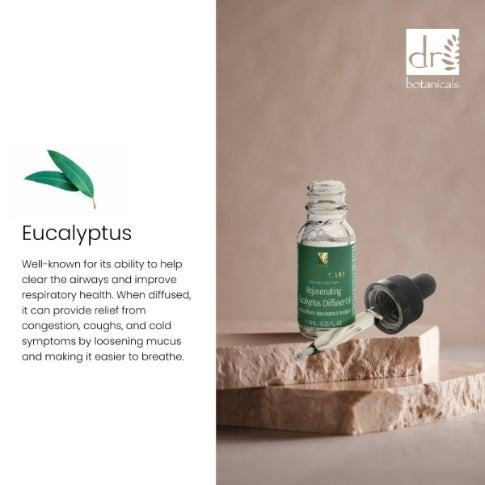 Dr Botanicals Rejuvenating Eucalyptus Relaxation Diffuser Kit