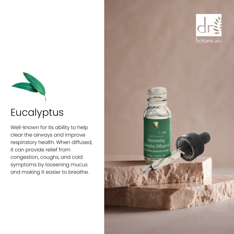 DB502 Dr Botanicals Rejuvenating Eucalyptus Diffuser Oil 10ml