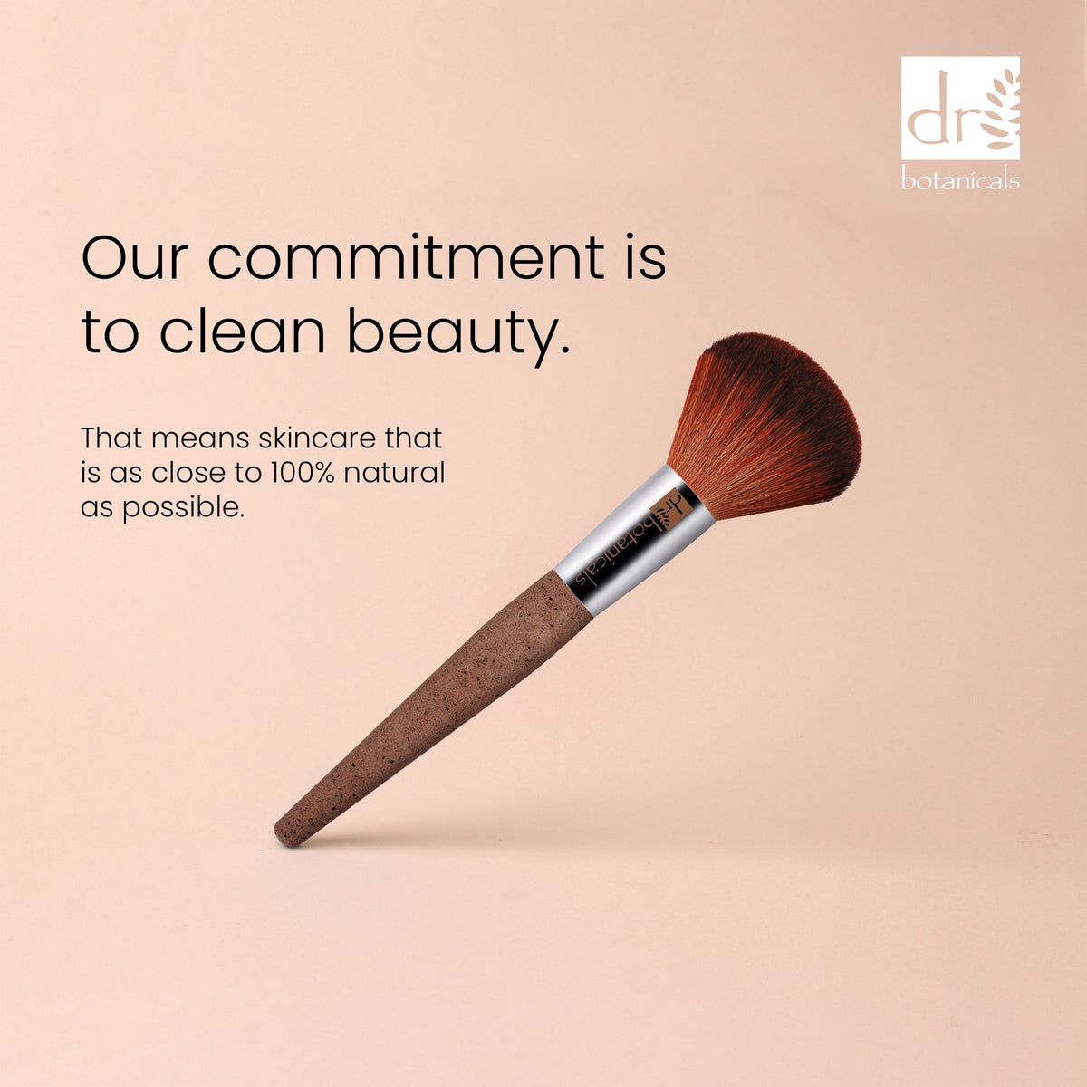 PO2DB392 Dr Botanicals Coffee Ground Powder Brush Twin Value Savings Pack