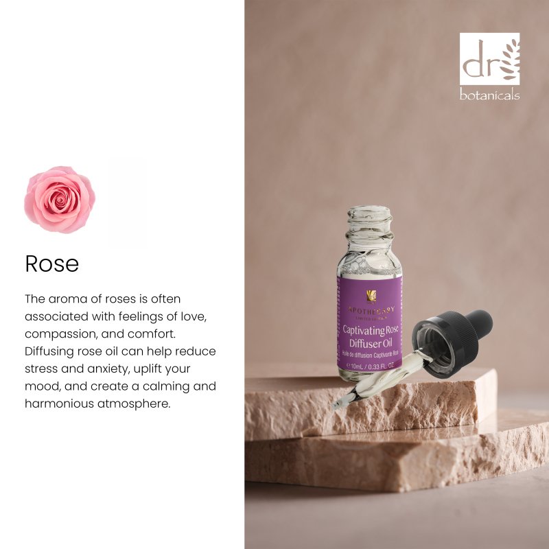 PO2DB503 Dr Botanicals Captivating Rose Diffuser Oil 10ml Twin Value Savings Pack