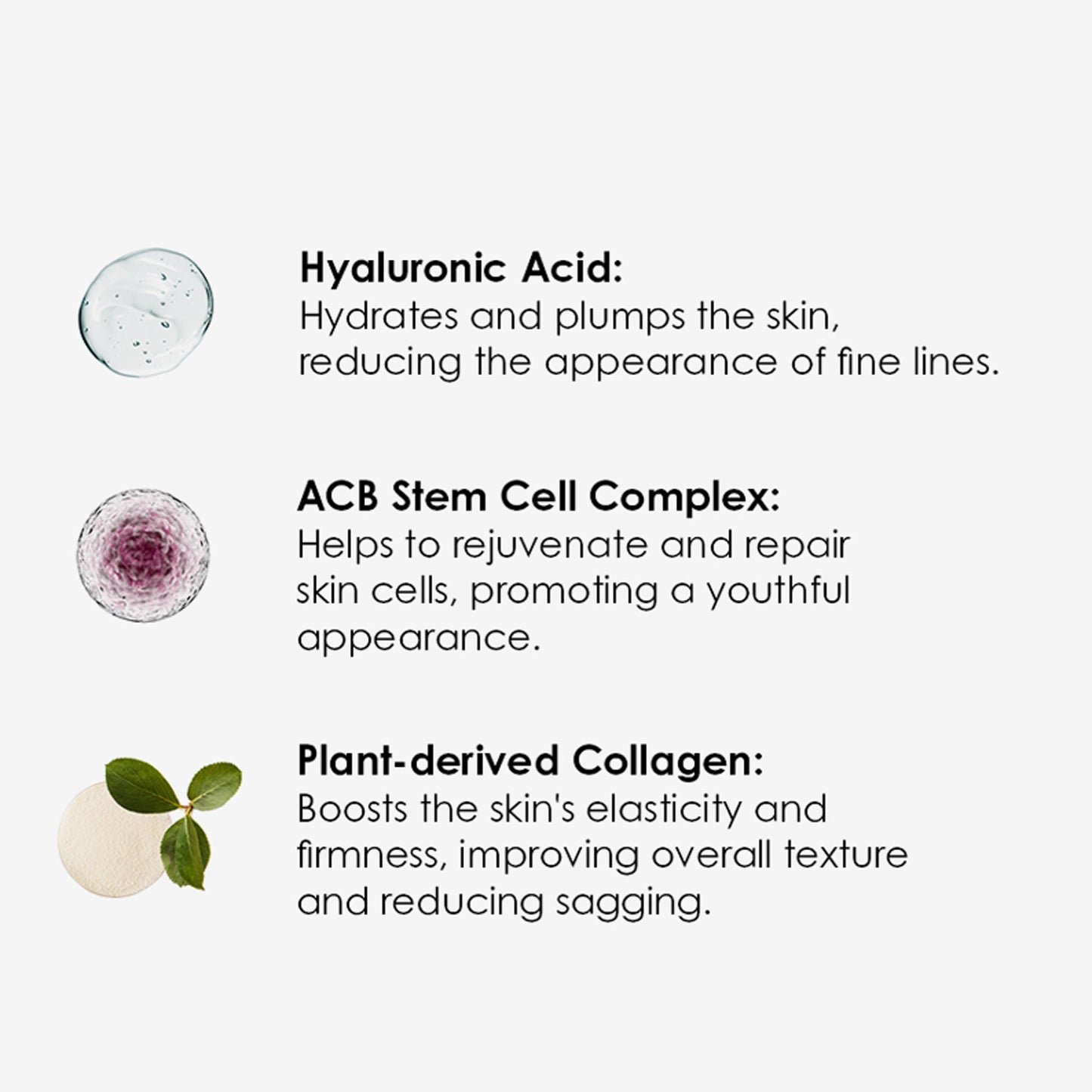skinChemists Placenta Moisturiser 50ml